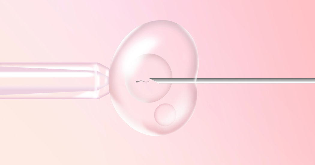 What are my options for assisted&nbsp;conception