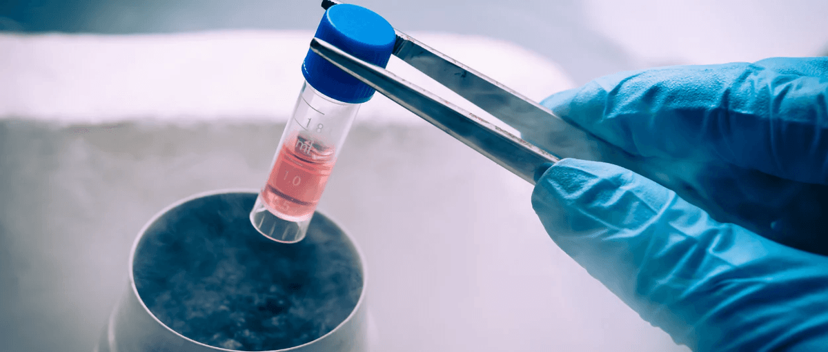 Understanding embryo freezing