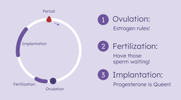 How long does it take to conceive on&nbsp;average?