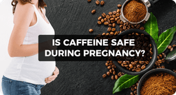 How caffeine affects early&nbsp;pregnancy